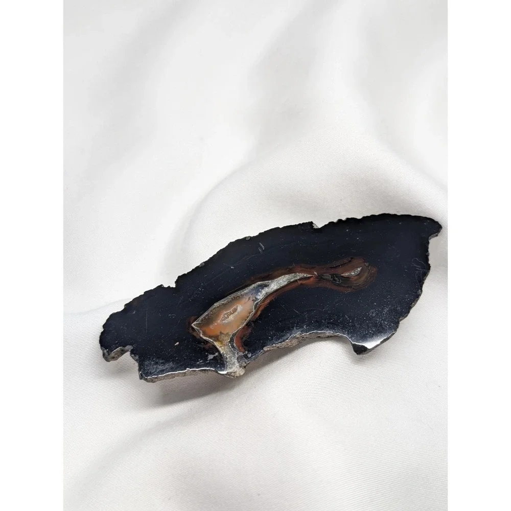 Brazilian Piranha Agate Polished Stone Slab Lapidary Rock